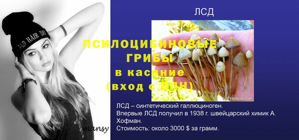 прущие крисы Алексеевка