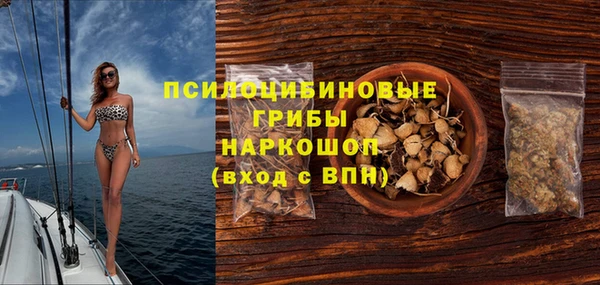 PSILOCYBIN Аркадак