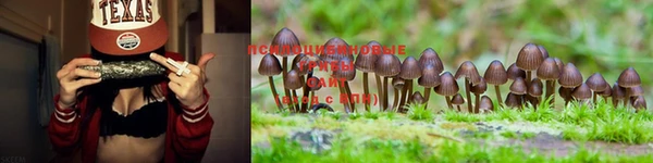 марки lsd Арсеньев