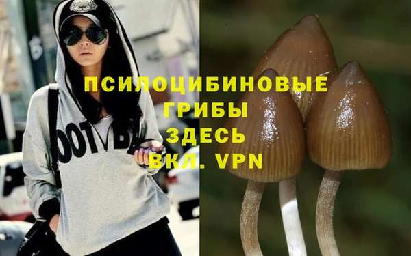 PSILOCYBIN Аркадак