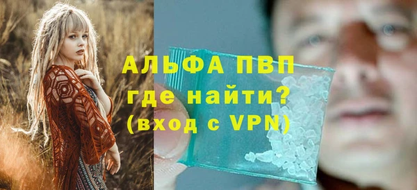 PSILOCYBIN Аркадак
