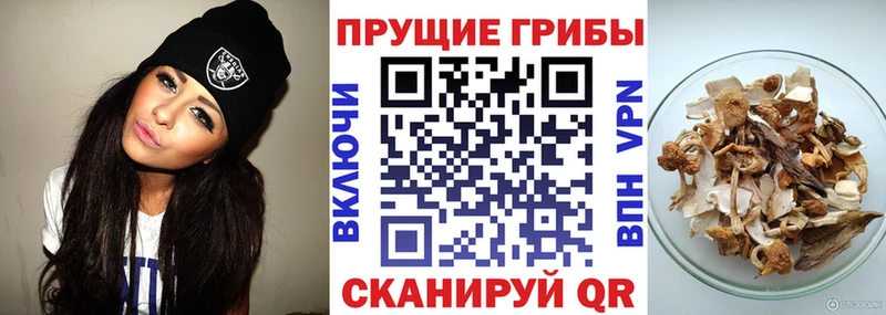 Псилоцибиновые грибы Magic Shrooms Саки